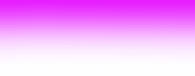 Plataforma Credox en pantalla de escritorio